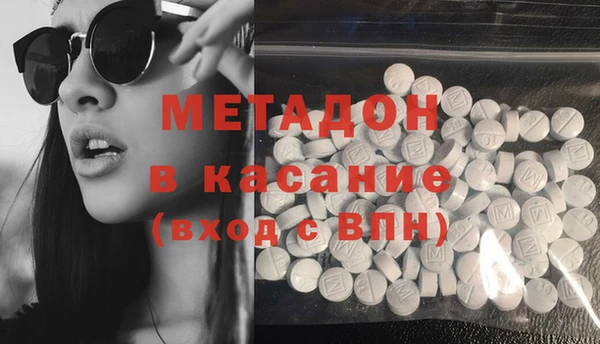 прущие грибы Аркадак