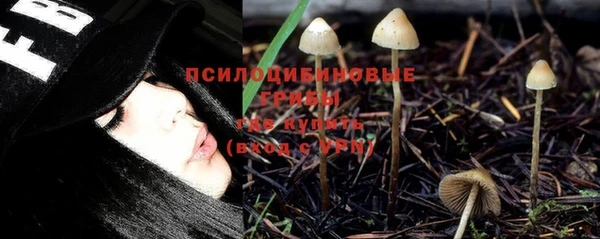 прущие грибы Армянск