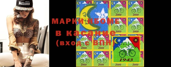 прущие грибы Аркадак
