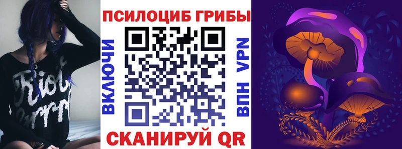 наркота  Аткарск  Псилоцибиновые грибы Cubensis 
